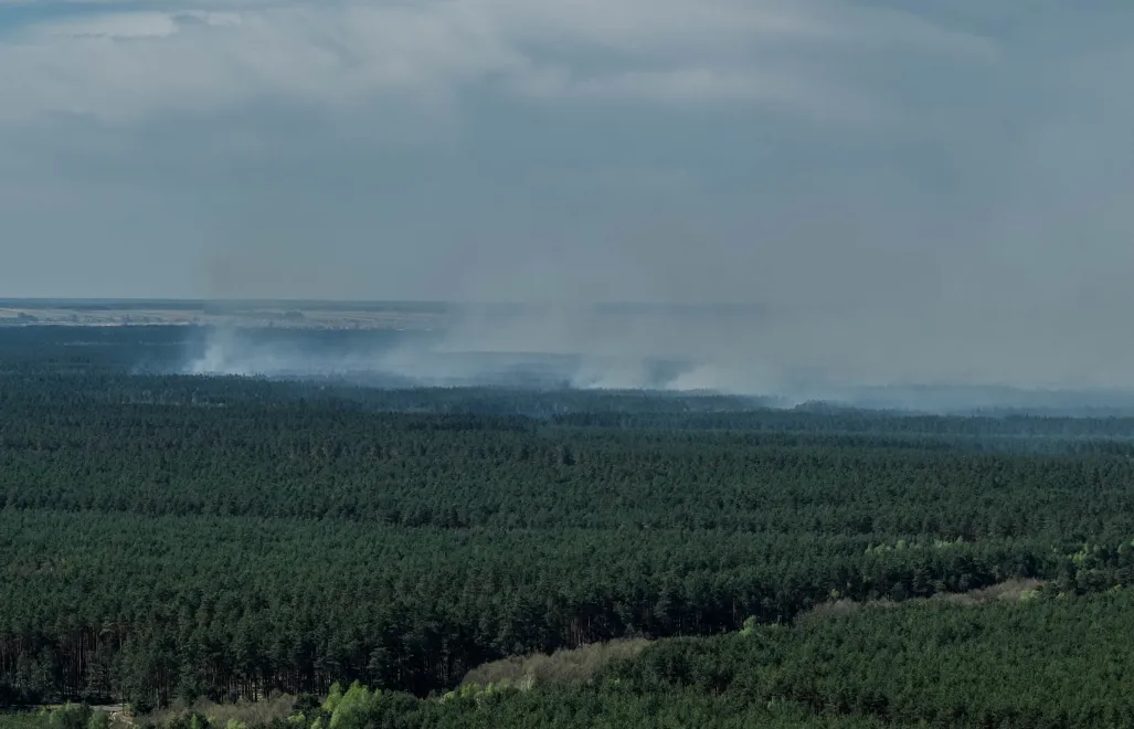 Лісова пожежа в Білгорайському повіті. Fot. PAP/Wojtek Jargiło