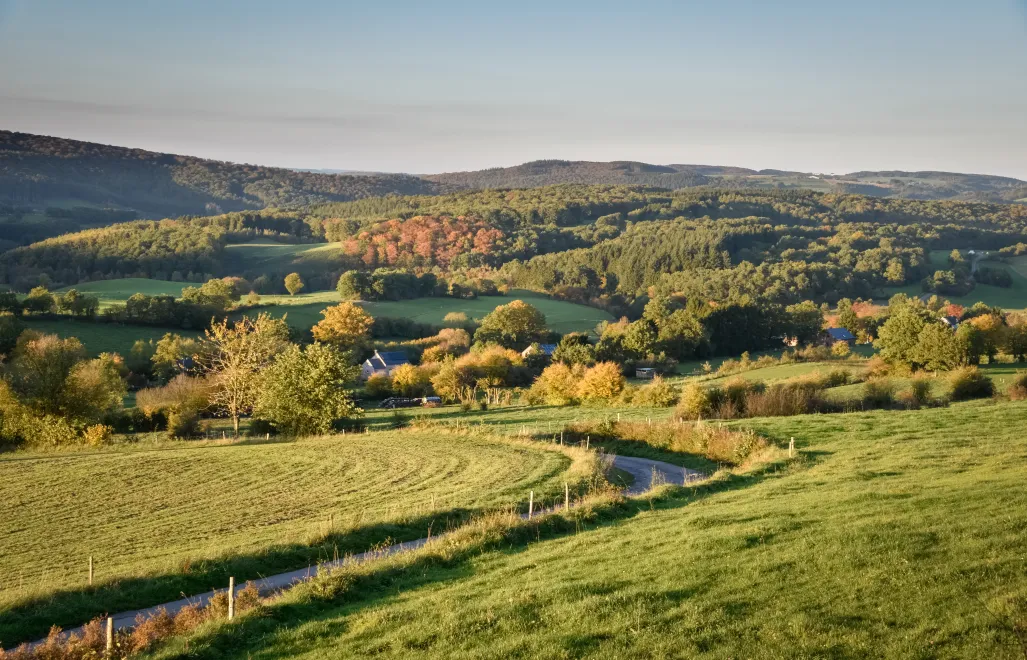 Widok na belgijskie Ardeny. Fot. Wouter/Adobe Stock