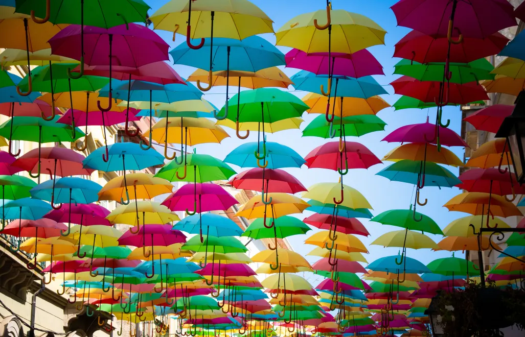 AgitÁgueda Art. Fot. Valmir Fernando/Adobe Stock