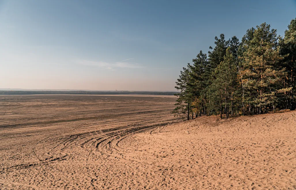 Pustynia Błędowska. Fot. Franciszek/Adobe Stock