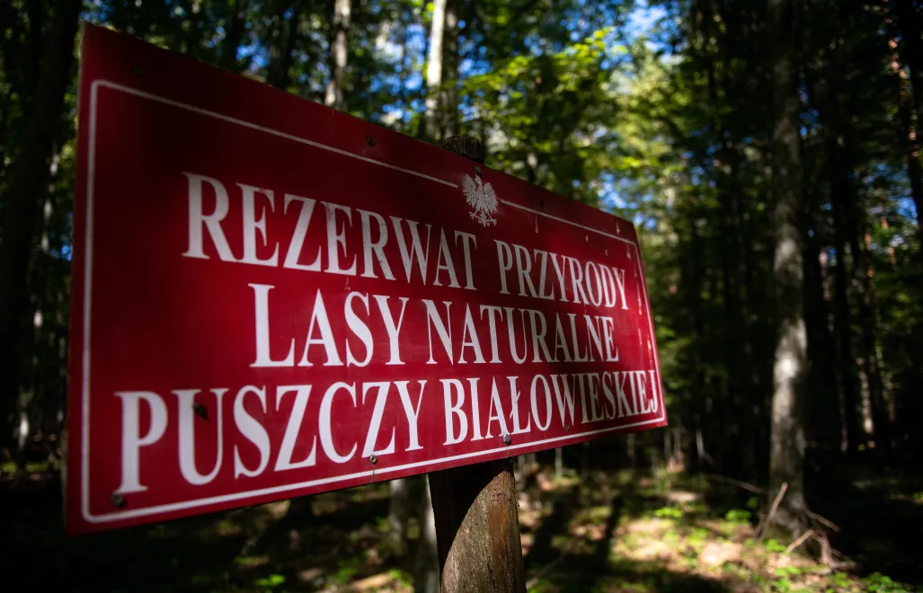 UNESCO doceniło działania Polski. Fot. PAP/	Michał Zieliński