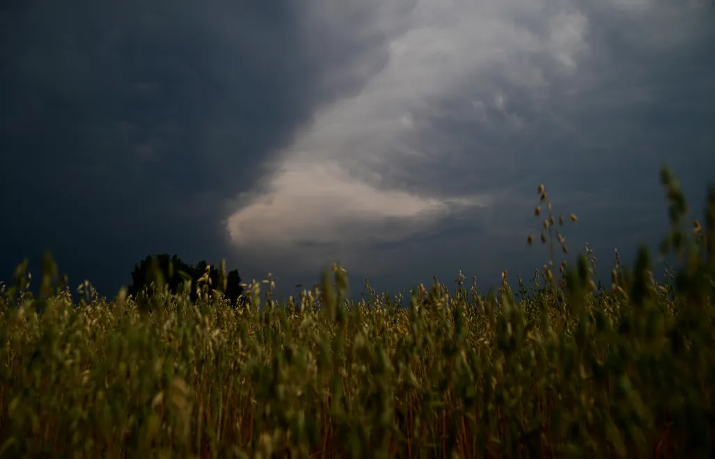 Burzowe chmury nad polami. Fot. PAP/Michał Zieliński