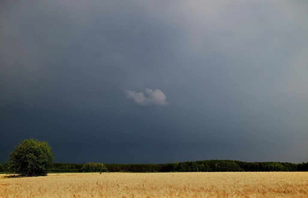 Chmury burzowe nad polami. Fot. PAP/Michał Zieliński