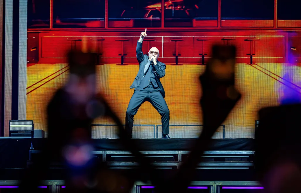 Pitbull. Fot. PAP/EPA/MARCEL KRIJGSMAN