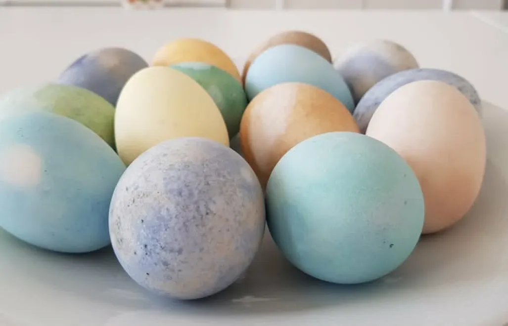 Fot. PAP/M. Młynarczyk-Zugaj