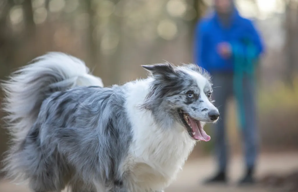 Fot. PAP MediaRoom / P. Werewka