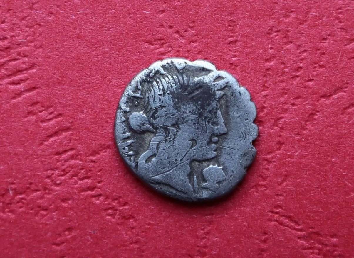 Rębny denar. Fot. FB Lubelski Wojewódzki Konserwator Zabytków