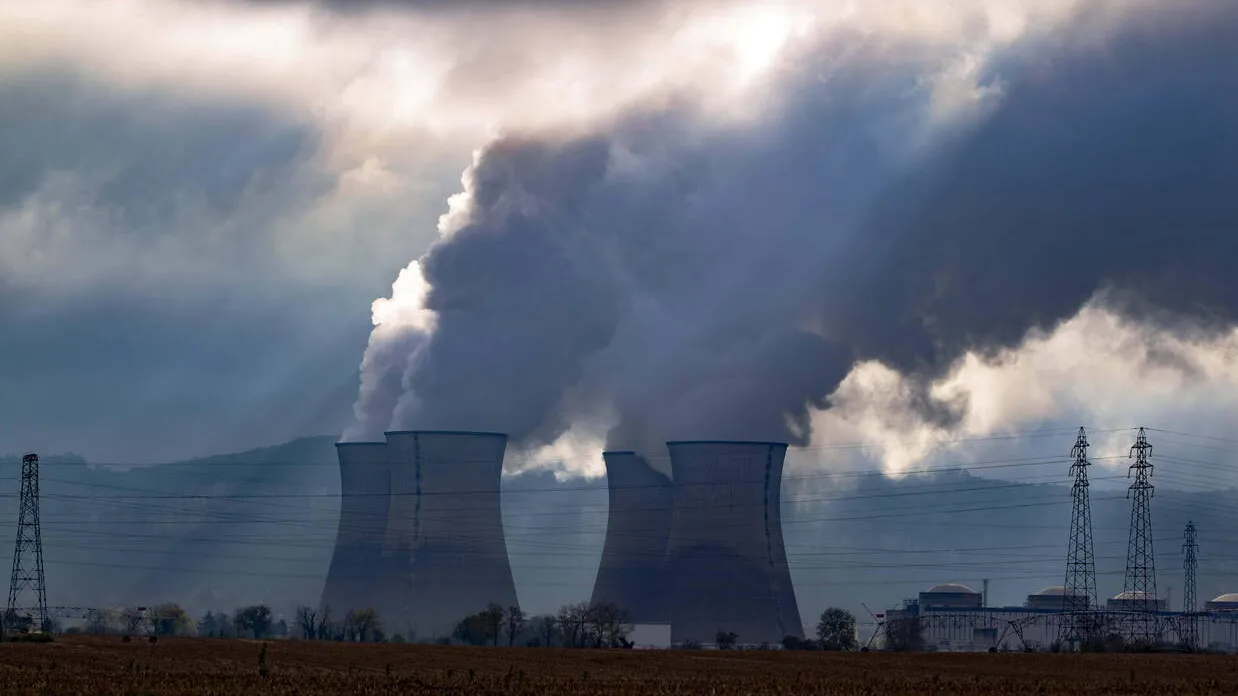 zdjęcie ilustracyjne Fot. Durand Thibaut/ABACA