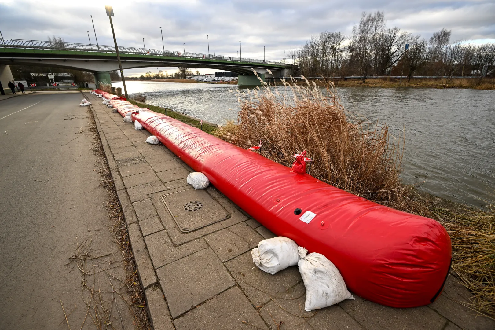 Podniesiony poziom wody w rzece Elbląg. Fot. PAP/Andrzej Jackowski 