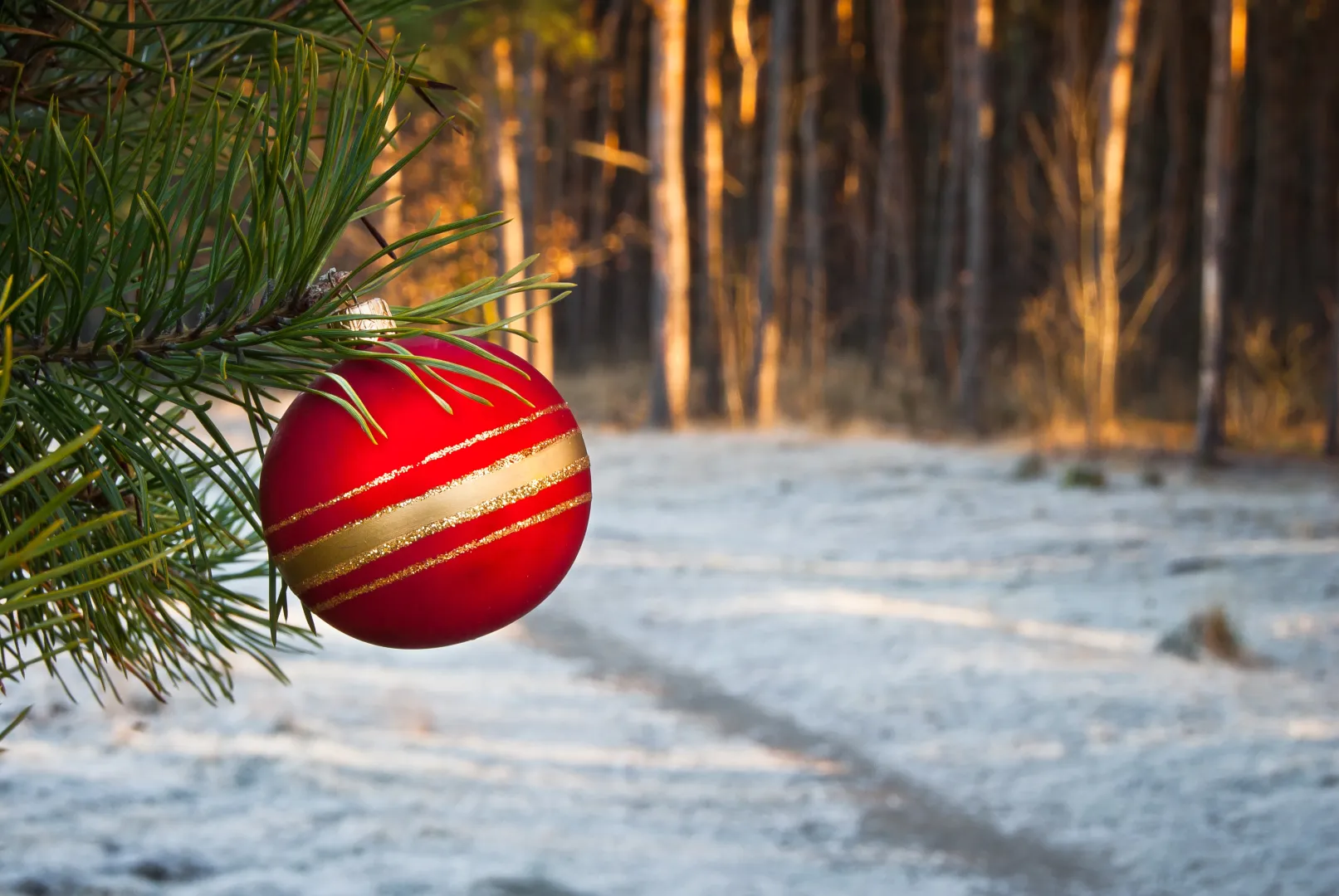 W Wigilię niewielkich opadów śniegu można spodziewać się w rejonach górskich. Fot. Adobe Stock/Mariusz Stoszewski