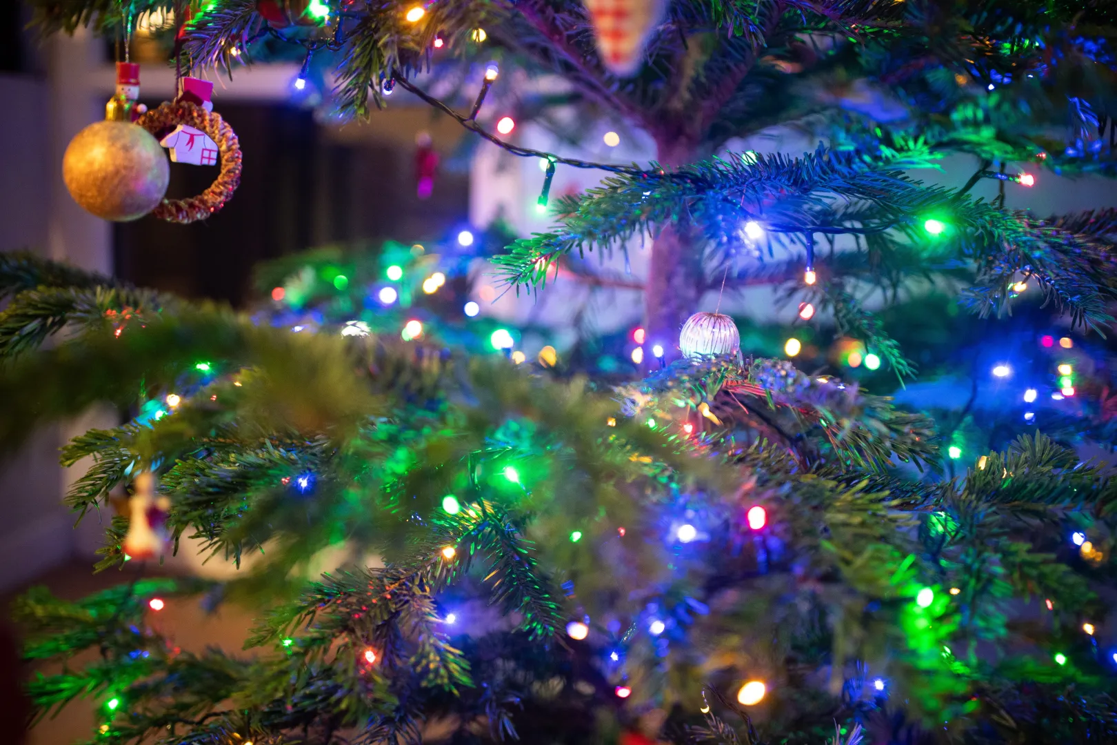 Świąteczna choinka. Fot. PAP/Andrzej Lange