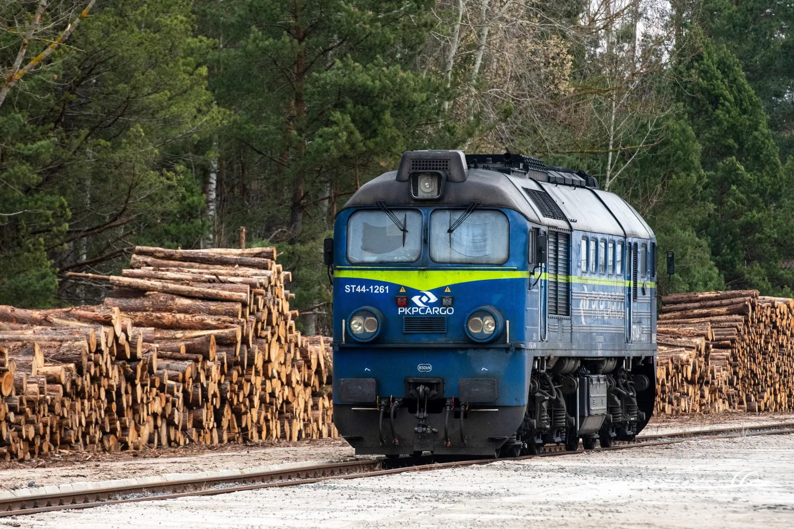 Lokomotywa PKP Cargo Fot. PAP/Michał Zieliński