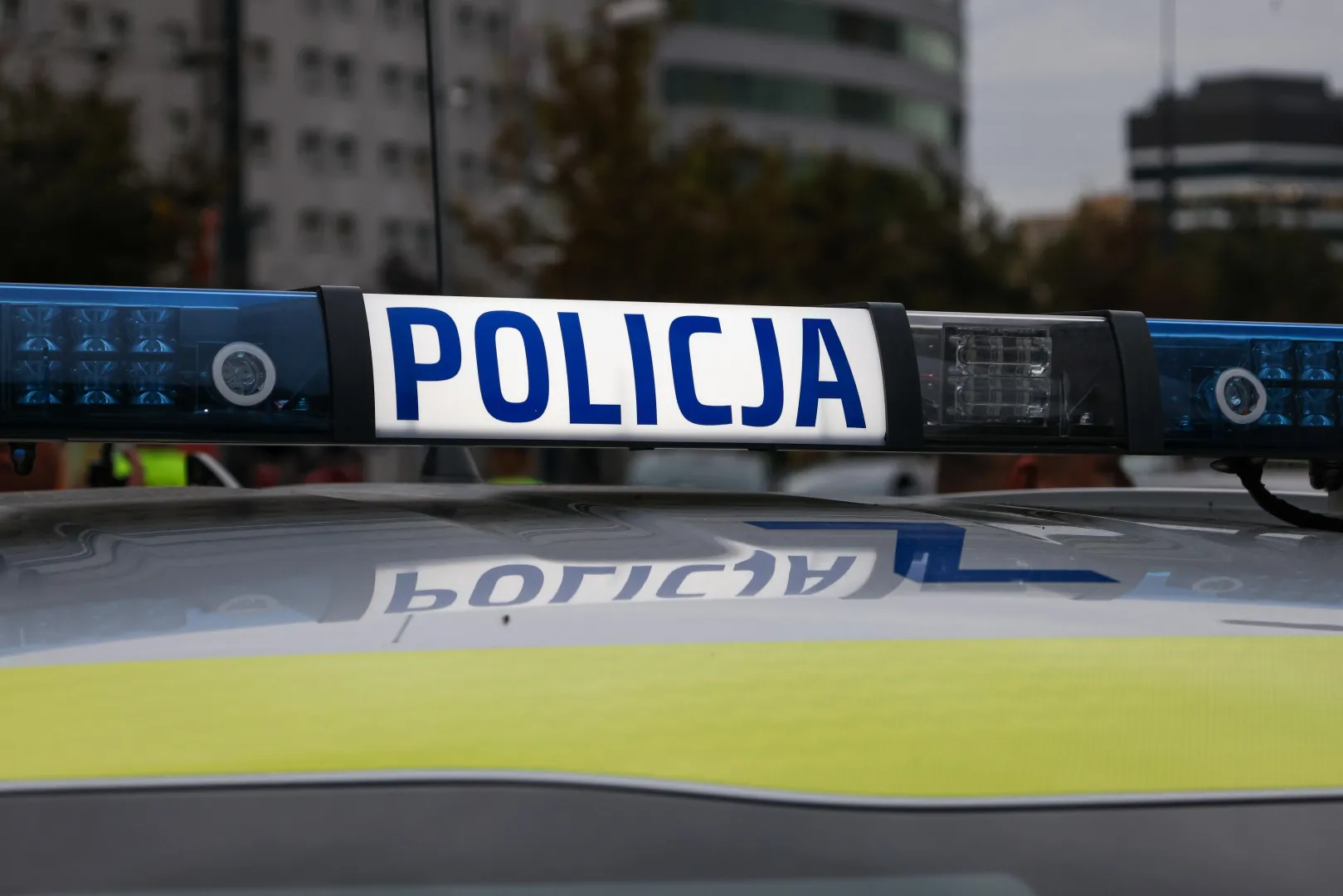 Fot. PAP/Albert Zawada