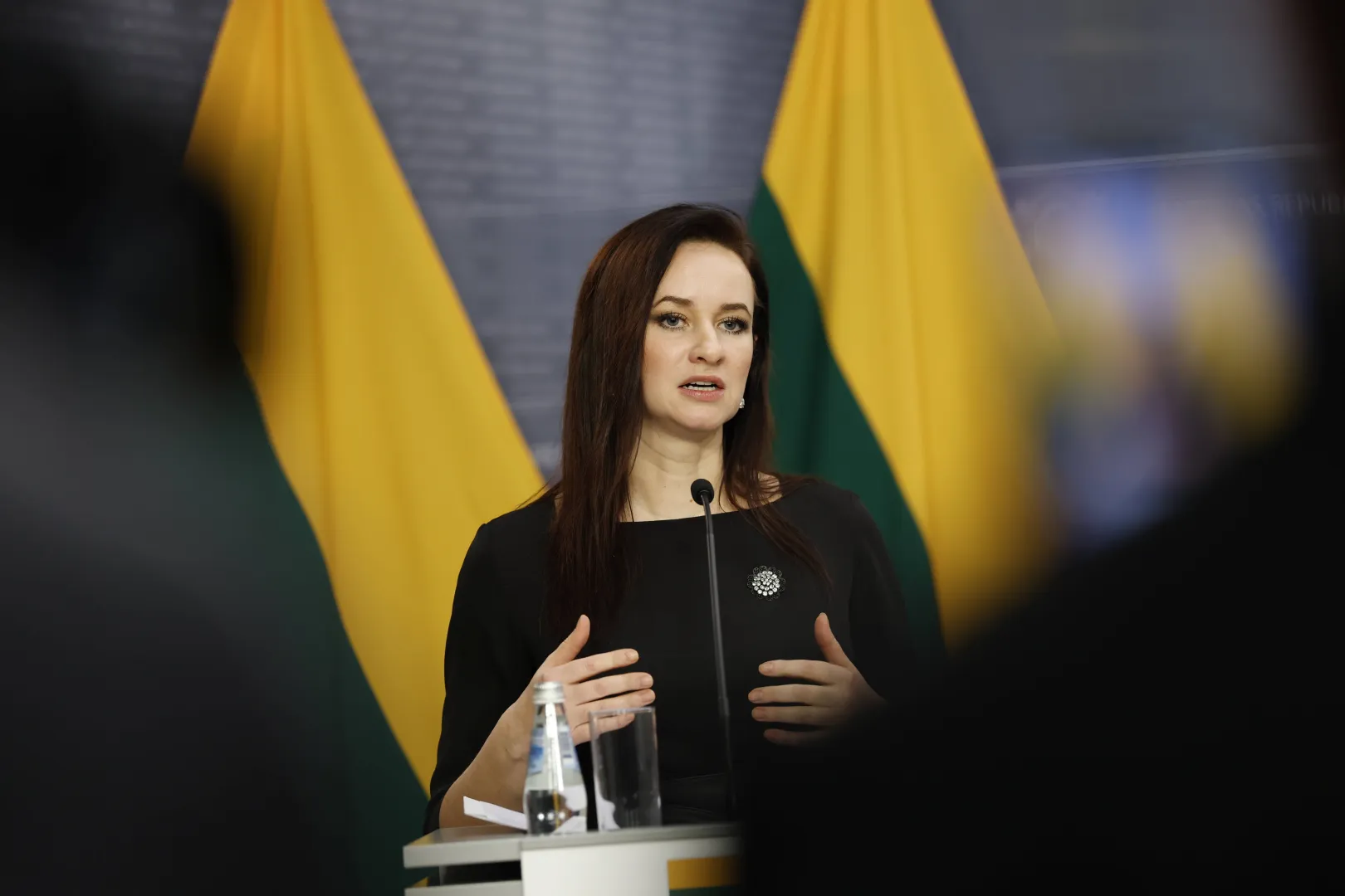 Premier Litwy Inga Ruginiene. Fot. PAP/EPA/TOMS KALNINS