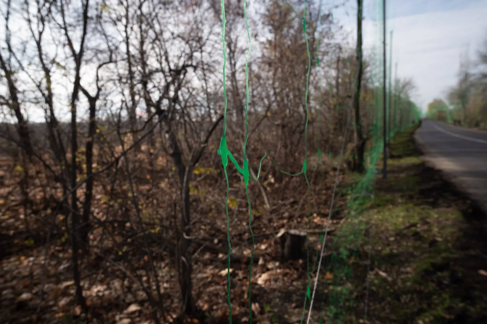 Антидронні сітки вздовж доріг неподалік лінії зіткнення в Донецькій області. Fot. PAP/EPA/Maria Senovilla