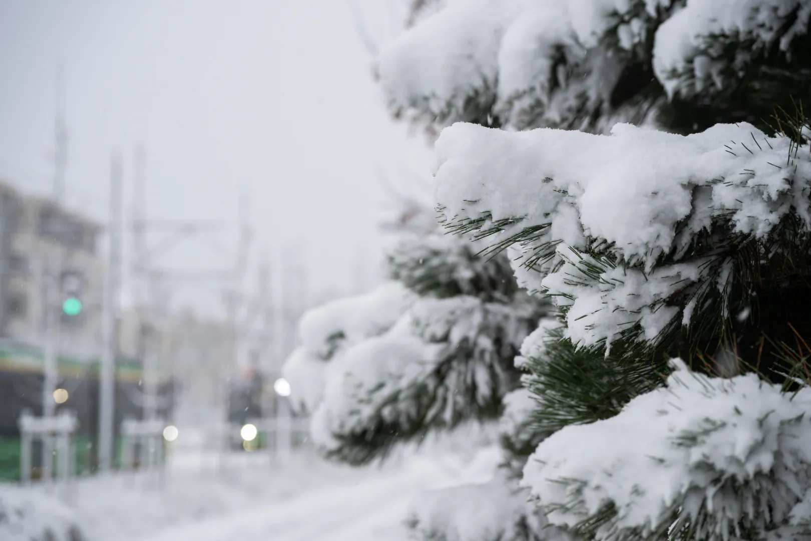 Śnieg. Zdjęcie ilustracyjne. Fot. PAP/Jakub Kaczmarczyk