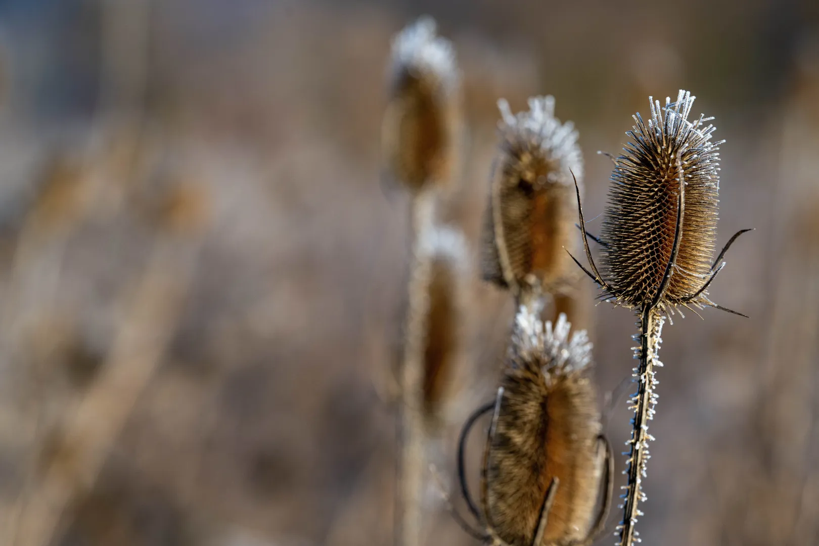 Pogoda. Fot. PAP/Darek Delmanowicz