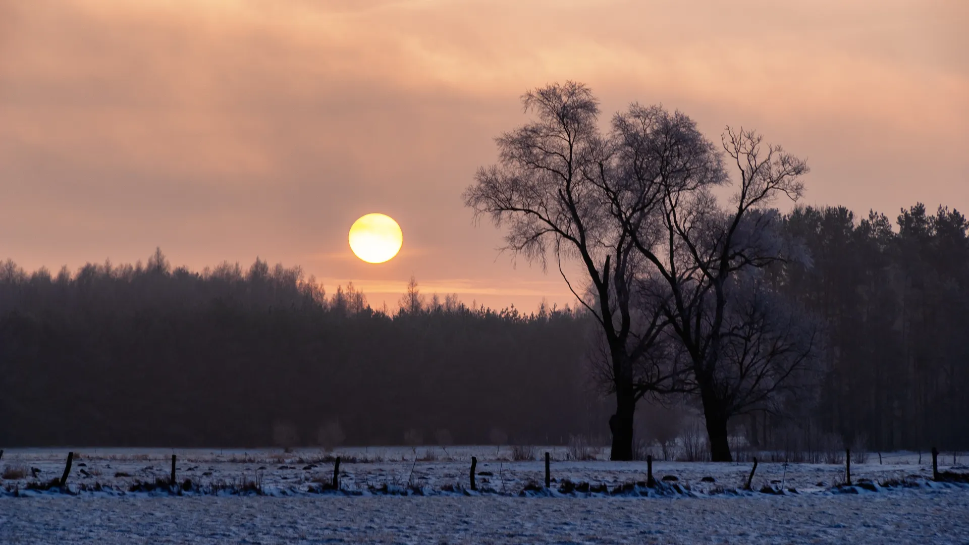Zima w Polsce. Fot. Adobe Stock/podlaski49