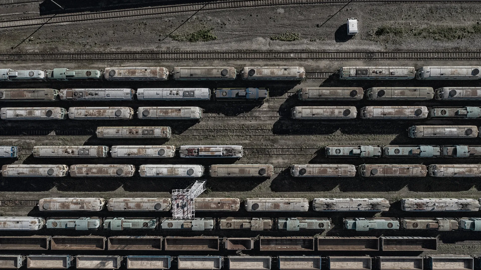 W ciągu ostatniej doby autobusami przewieziono ponad 2,2 tys. pasażerów. Fot. Adobe Stock/ Piotr