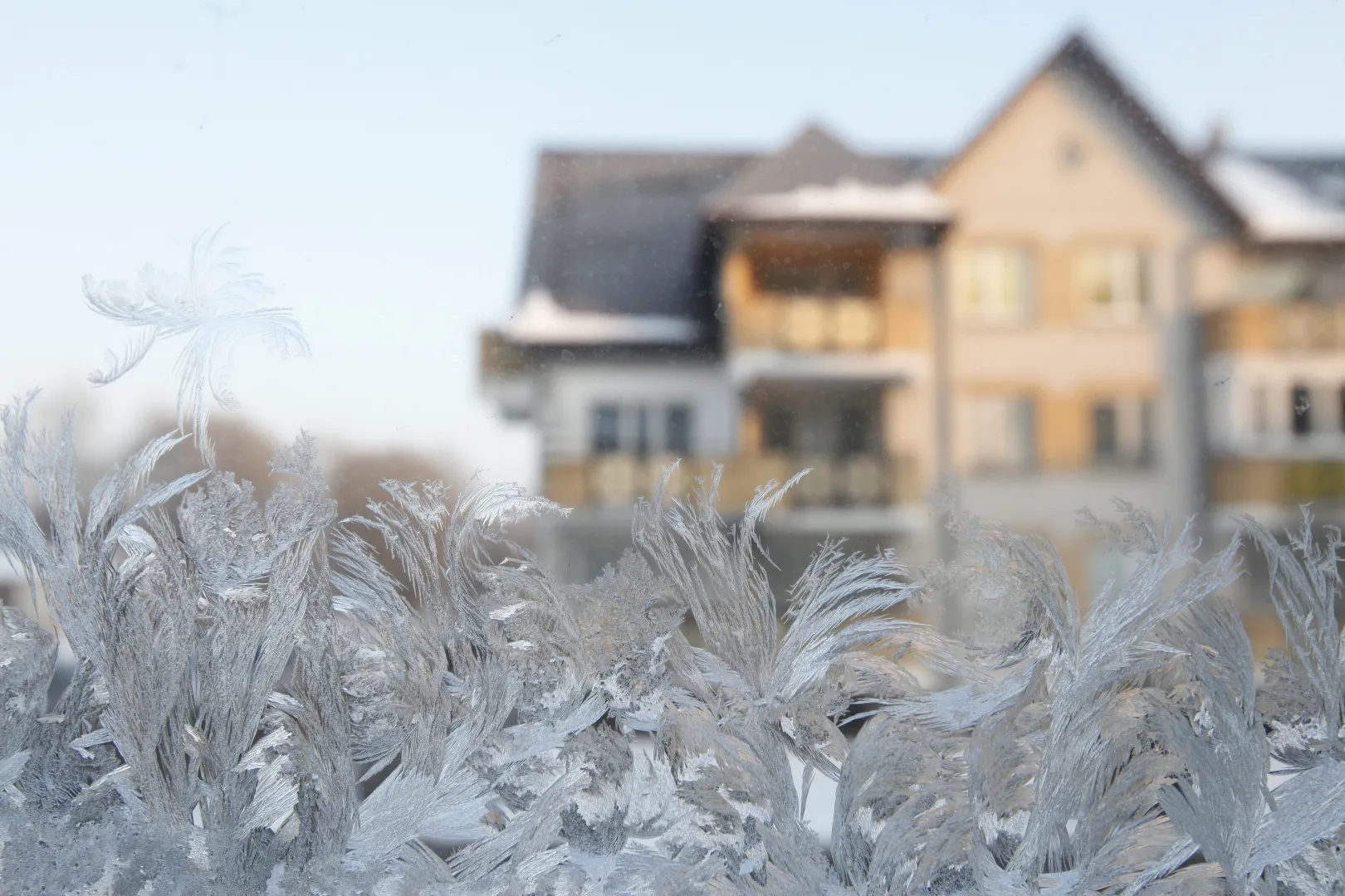 Mróz na szybie Fot. PAP/Artur Reszko