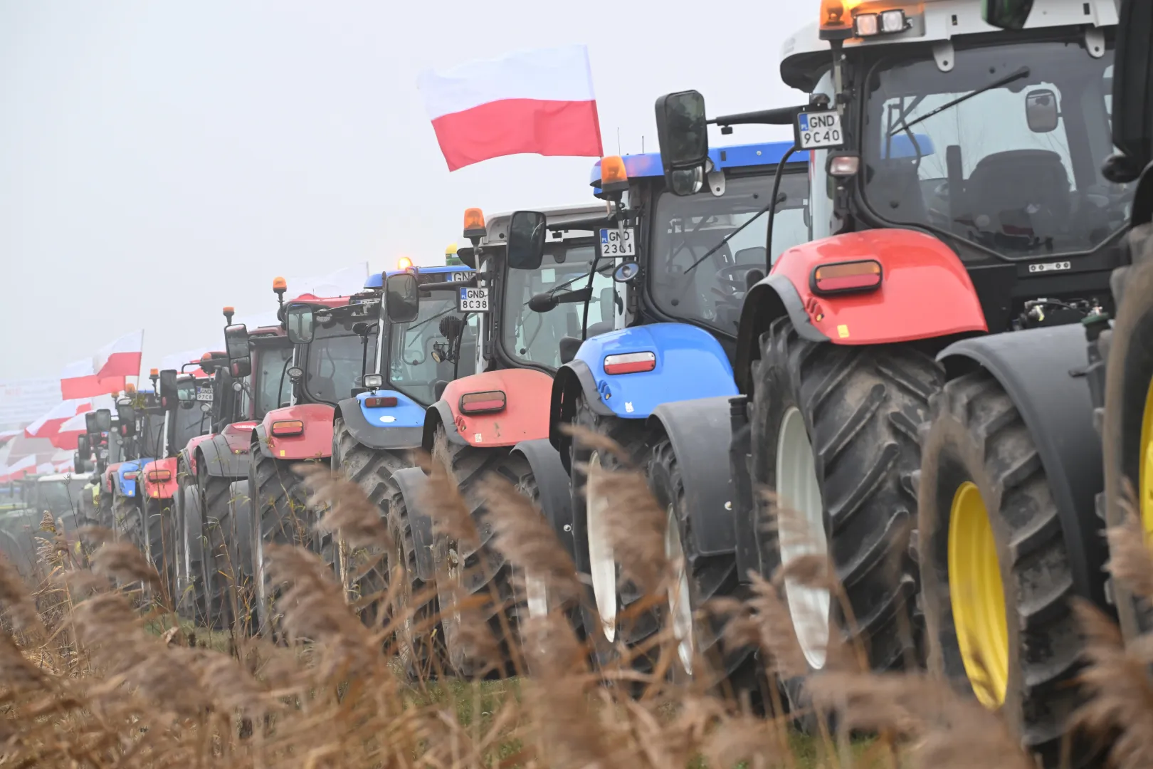 Protest rolników ws. umowy z Mercosurem Fot. PAP/Andrzej Jackowski
