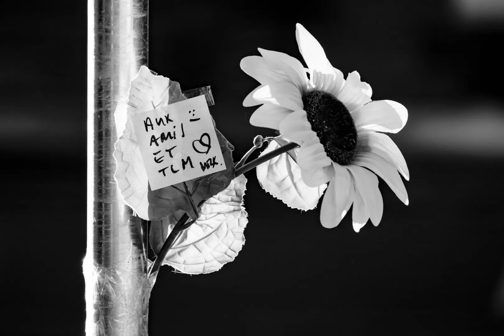 Kwiaty w pobliżu miejsca, gdzie wybuchł pożar w barze i salonie Le Constellation. Fot. PAP/EPA/JEAN-CHRISTOPHE BOTT