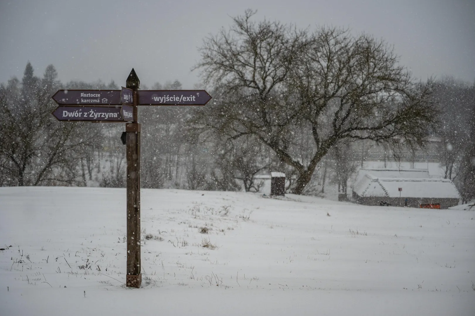 Śnieg w Muzeum Wsi Lubelskiej Fot. PAP/Wojtek Jargiło