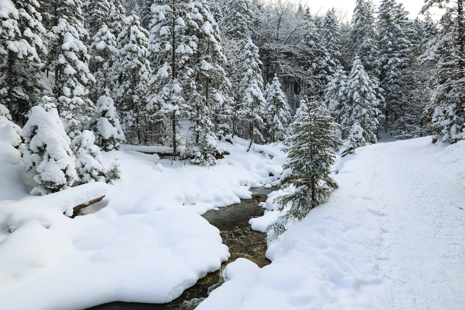 Zima w Tatrach. Fot. PAP/Grzegorz Momot