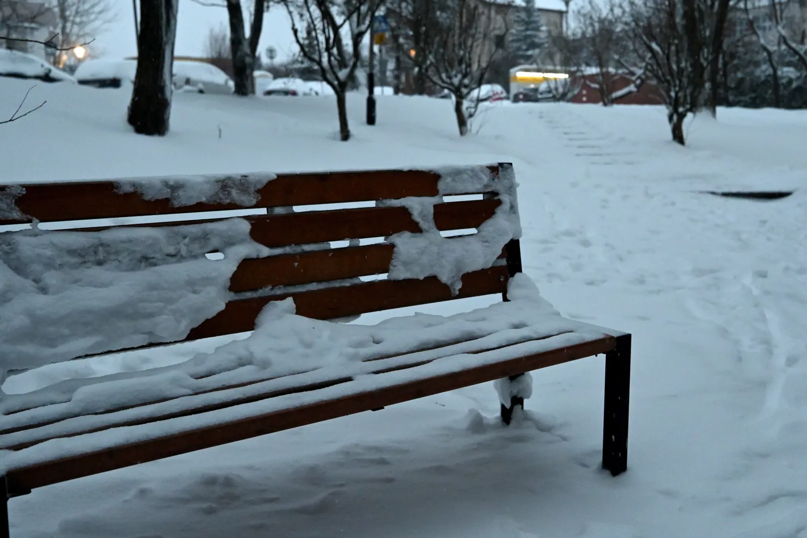 Opady śniegu w Kielcach. Fot. PAP/Piotr Polak