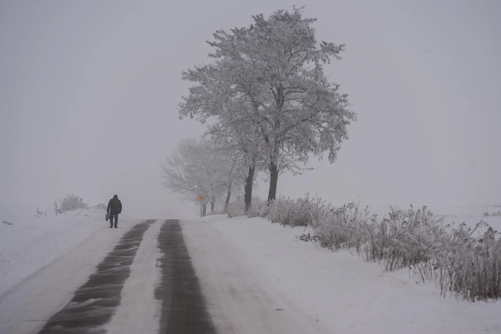 Arktyczne powietrze spowoduje spadki temperatury nawet do minus 25 st. C. Fot. PAP/Wojtek Jargiło