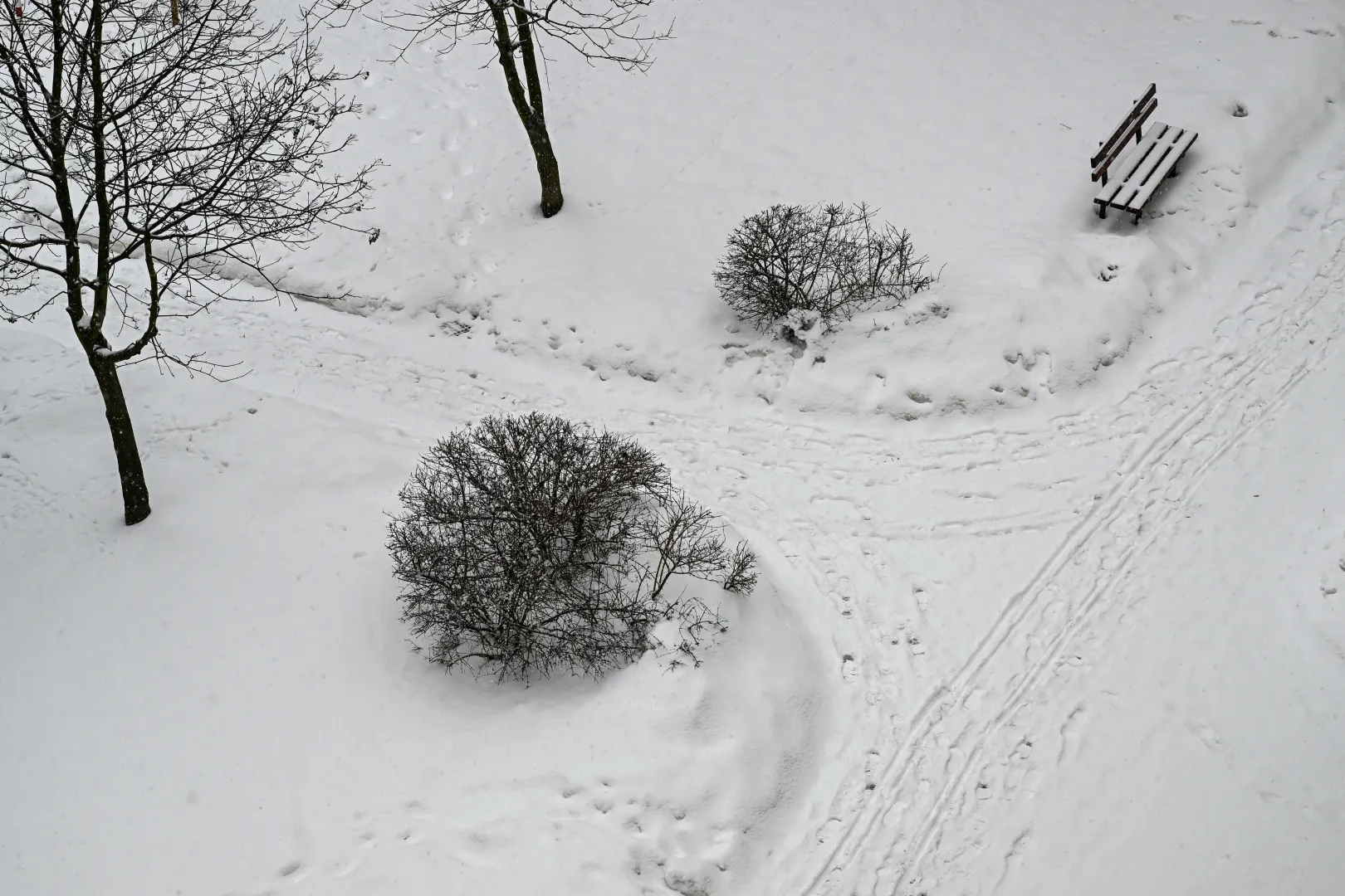 Opady śniegu. Fot. PAP/Darek Delmanowicz