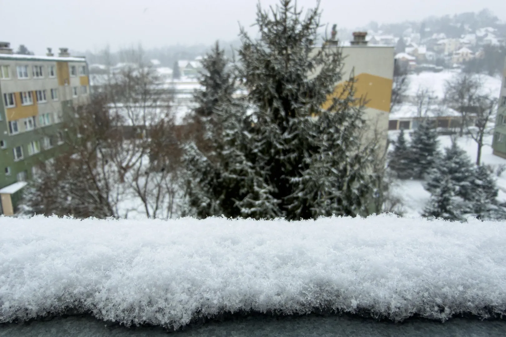 Opady świeżego śniegu. Fot. PAP/Darek Delmanowicz