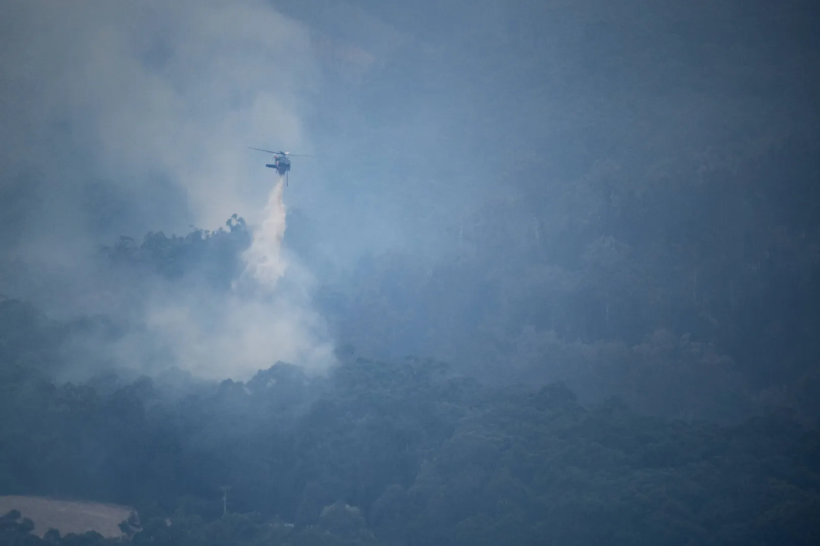 Fala rekordowych upałów w Australii, wysokie ryzyko pożarów. Fot. PAP/EPA/MICHAEL CURRIE