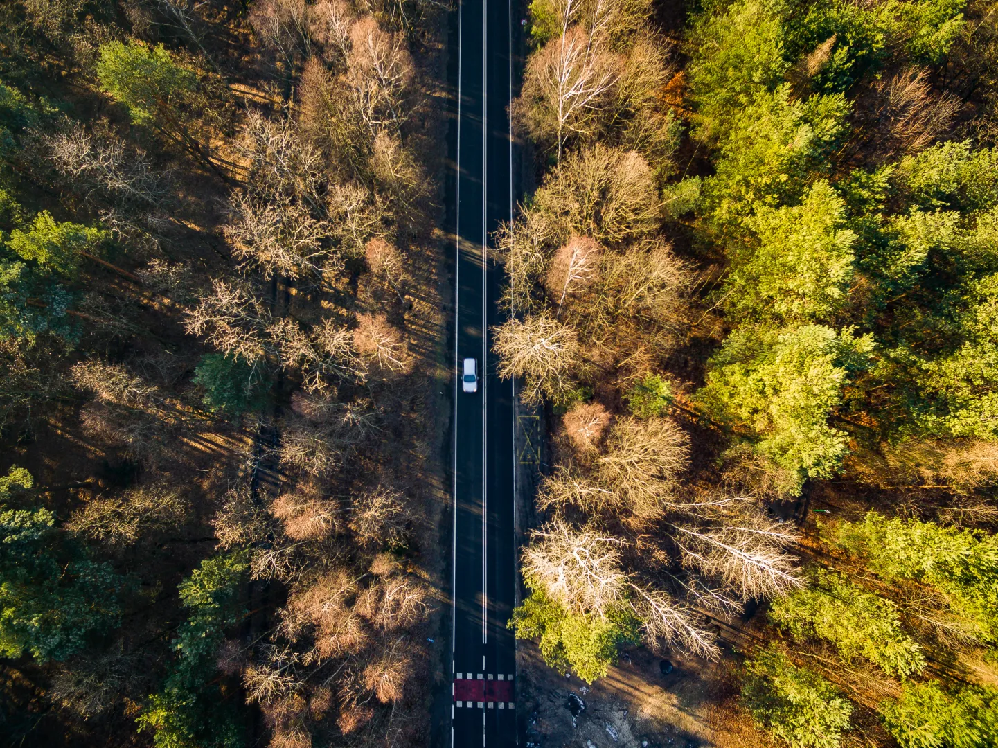 Według danych Instytutu Badań Rynku Motoryzacyjnego SAMAR w grudniu 2025 r. zarejestrowano w Polsce 9821 nowych chińskich samochodów. Fot. Adobe Stock/BlackMediaHouse