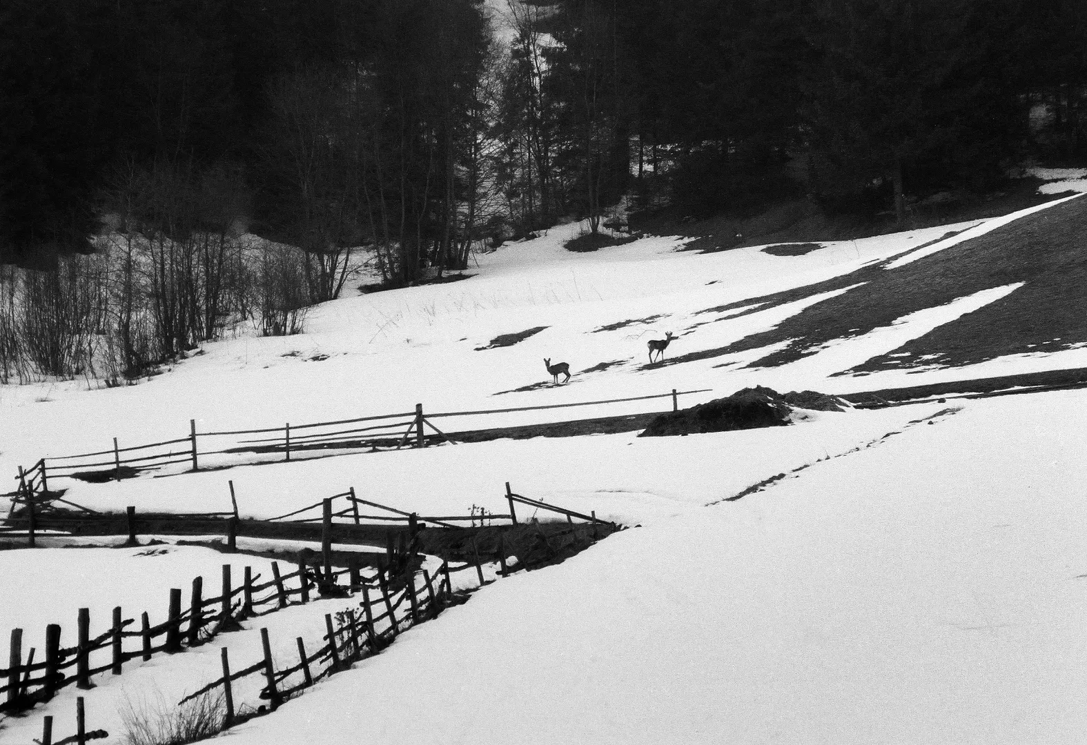Kotlina Podhalańska - zdjęcie ilustracyjne Fot. PAP/Afa Pixx/Zenon Żyburtowicz