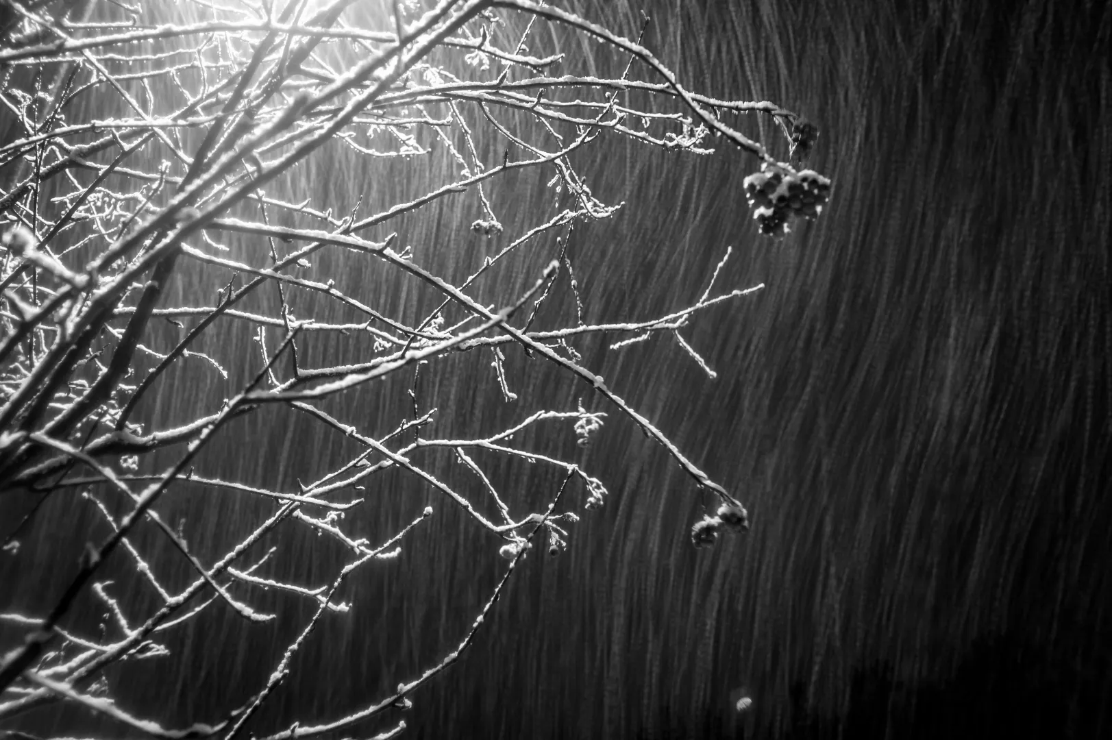 Nocne opady śniegu. Zdj. Ilustracyjne. Fot. PAP/Tytus Żmijewski