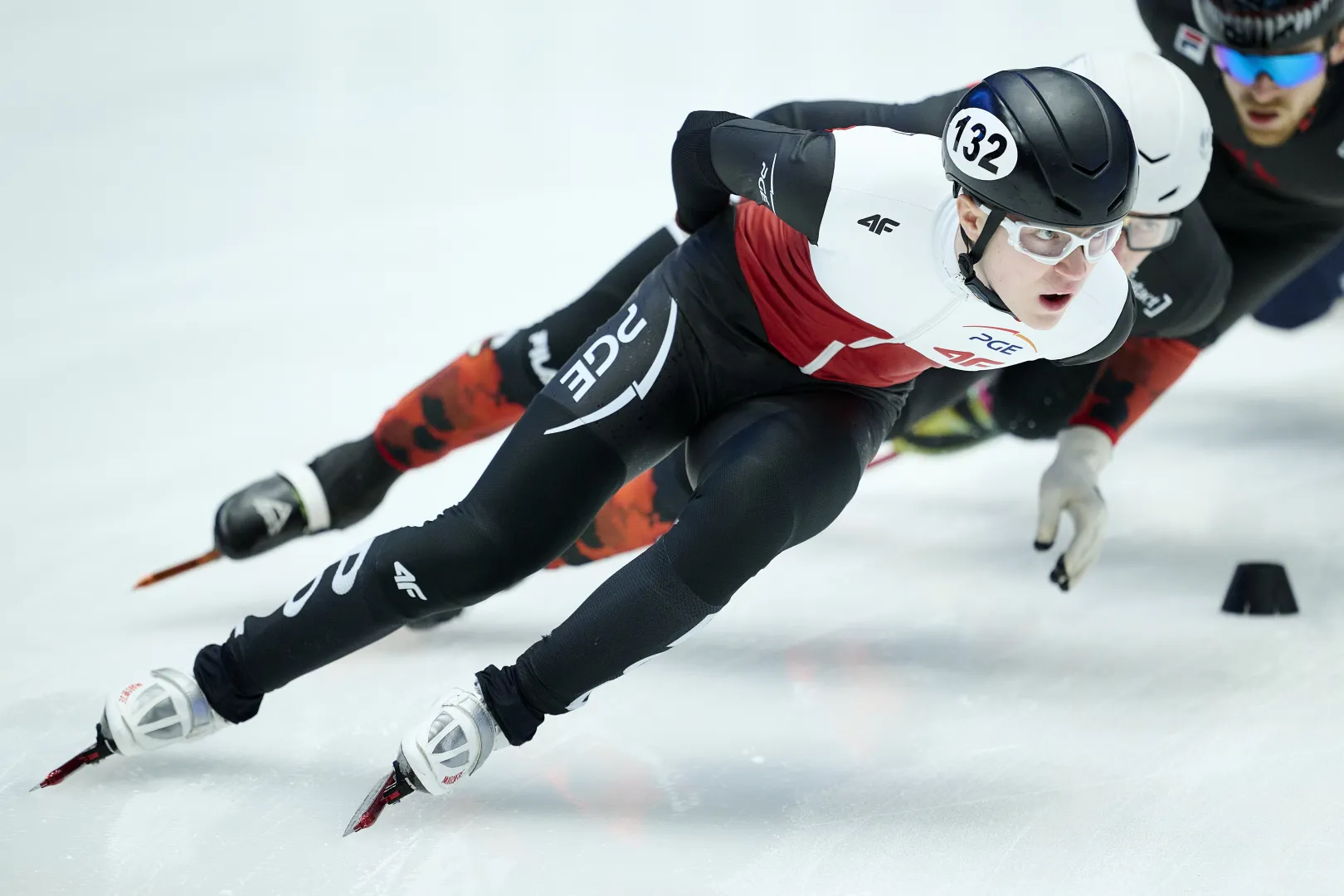 Felix Pigeon. Fot. PAP/Adam Warżawa