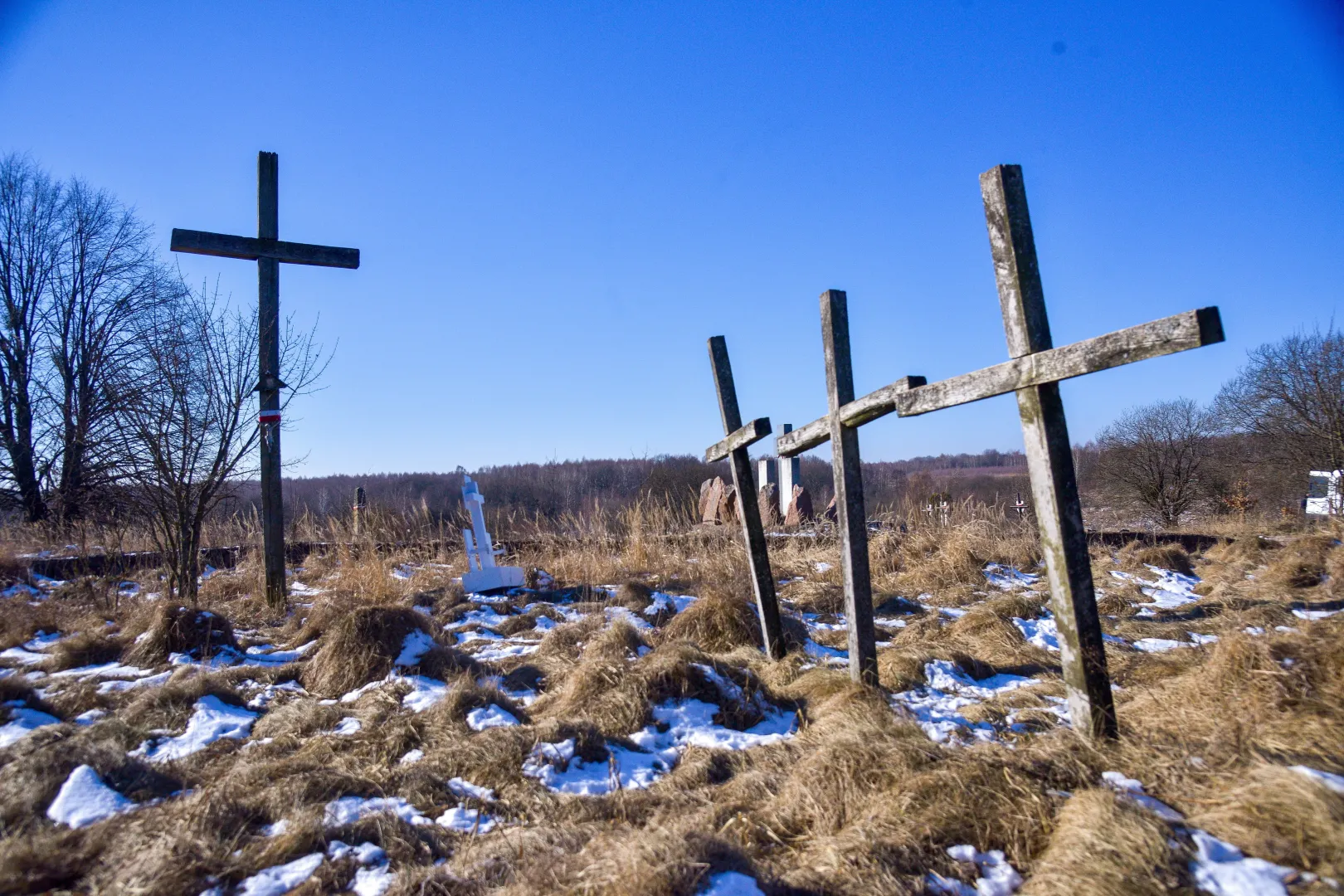 Krzyże upamiętniające zamordowanych mieszkańców wsi Huta Pieniacka. Fot. PAP/	Vitaliy Hrabar