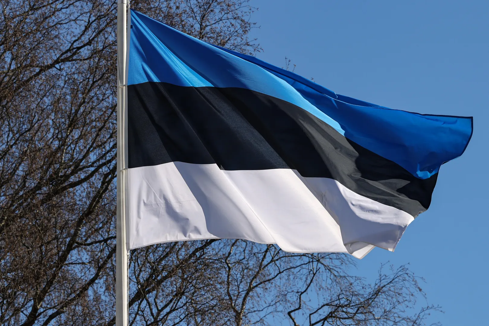 Прапор Естонії, фотоілюстрація. Fot. PAP/Albert Zawada