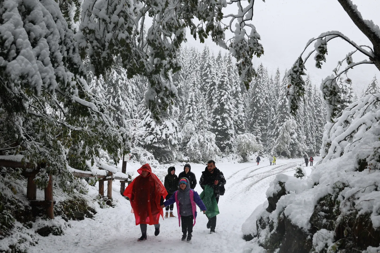  Turyści na trasie do Morskiego Oka w Tatrach. Fot.  PAP/Grzegorz Momot