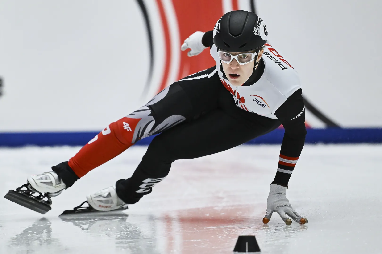 Felix Pigeon. Fot. PAP/Adam Warżawa