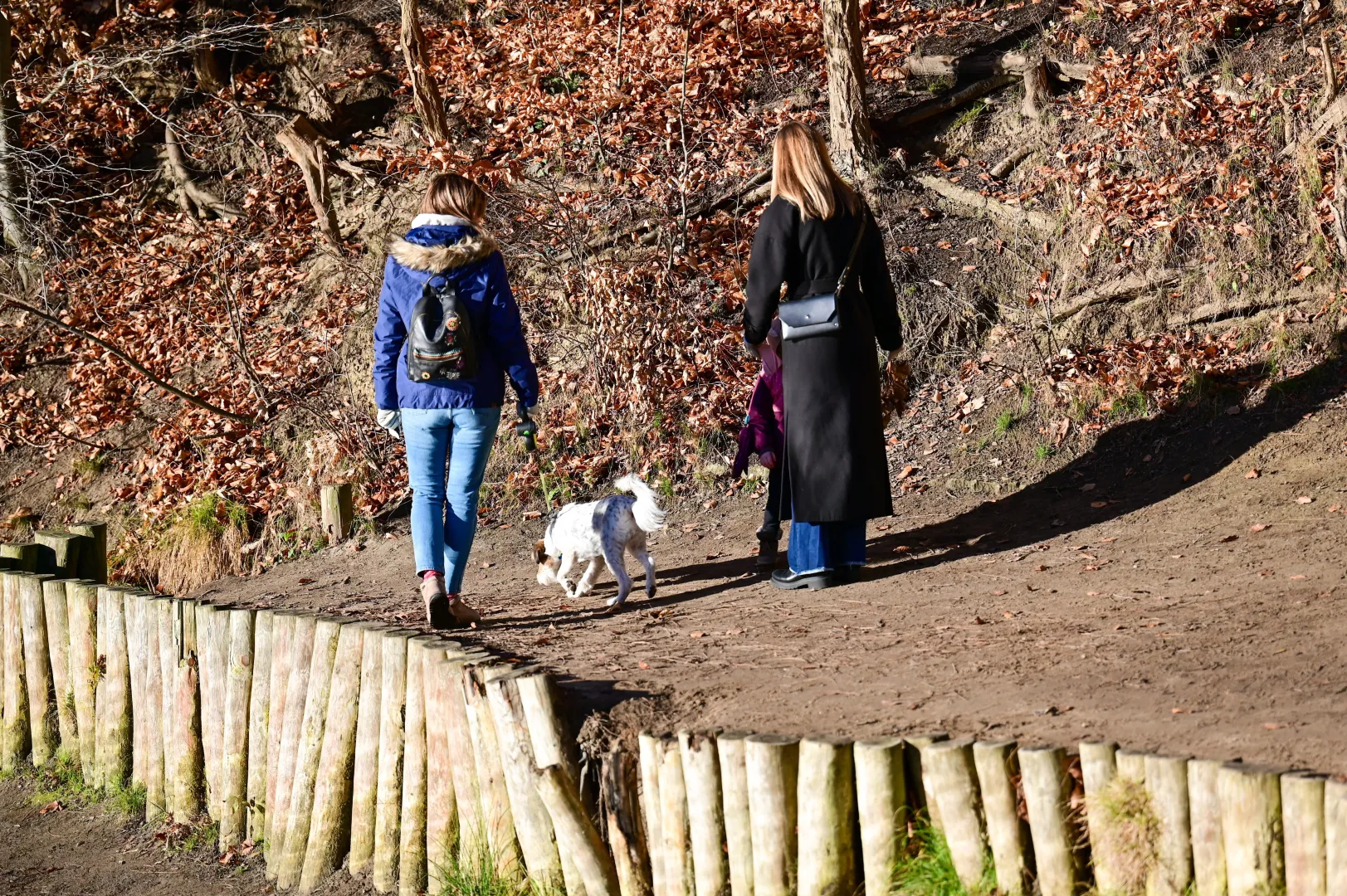 Spacer w słońcu Fot. PAP/Marcin Bielecki