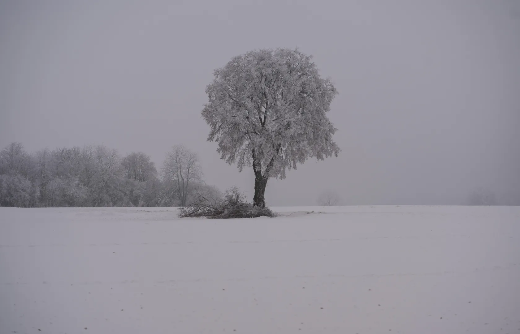 Trudne warunki pogodowe. Fot. PAP/Wojtek Jargiło