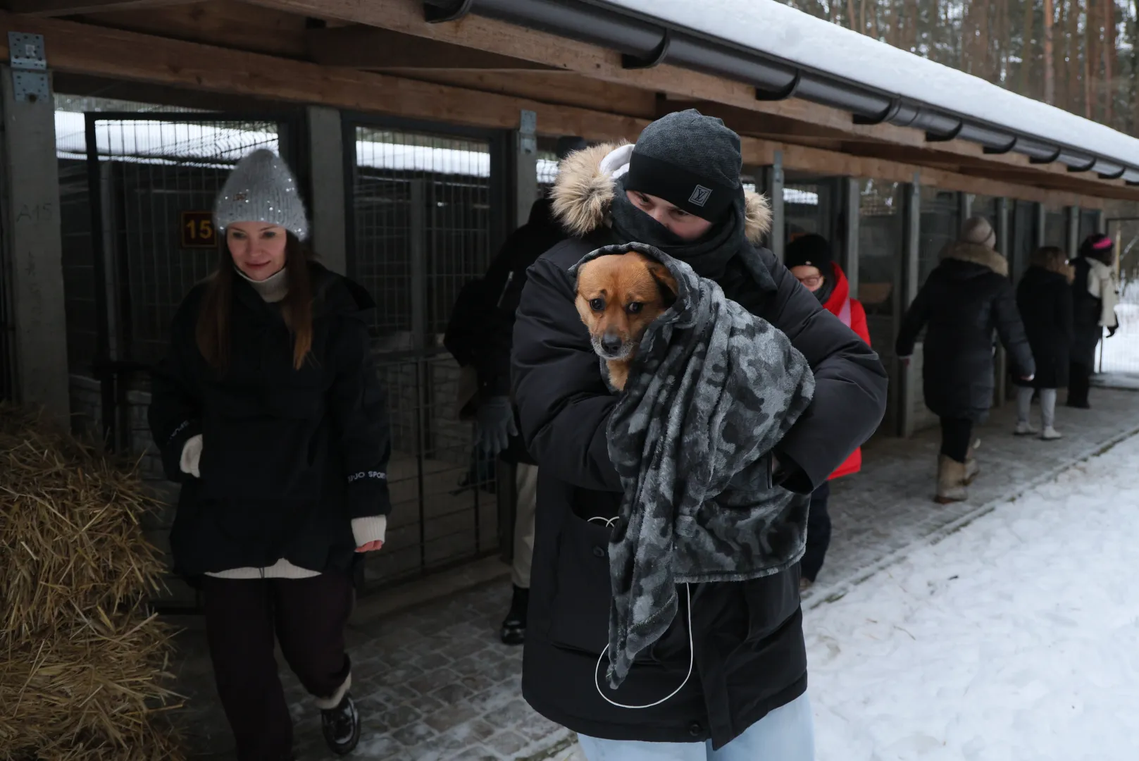 Akcja zabierania psów ze schroniska dla zwierząt "Happy Dog" w miejscowości Sobolew. Fot. PAP/Paweł Supernak