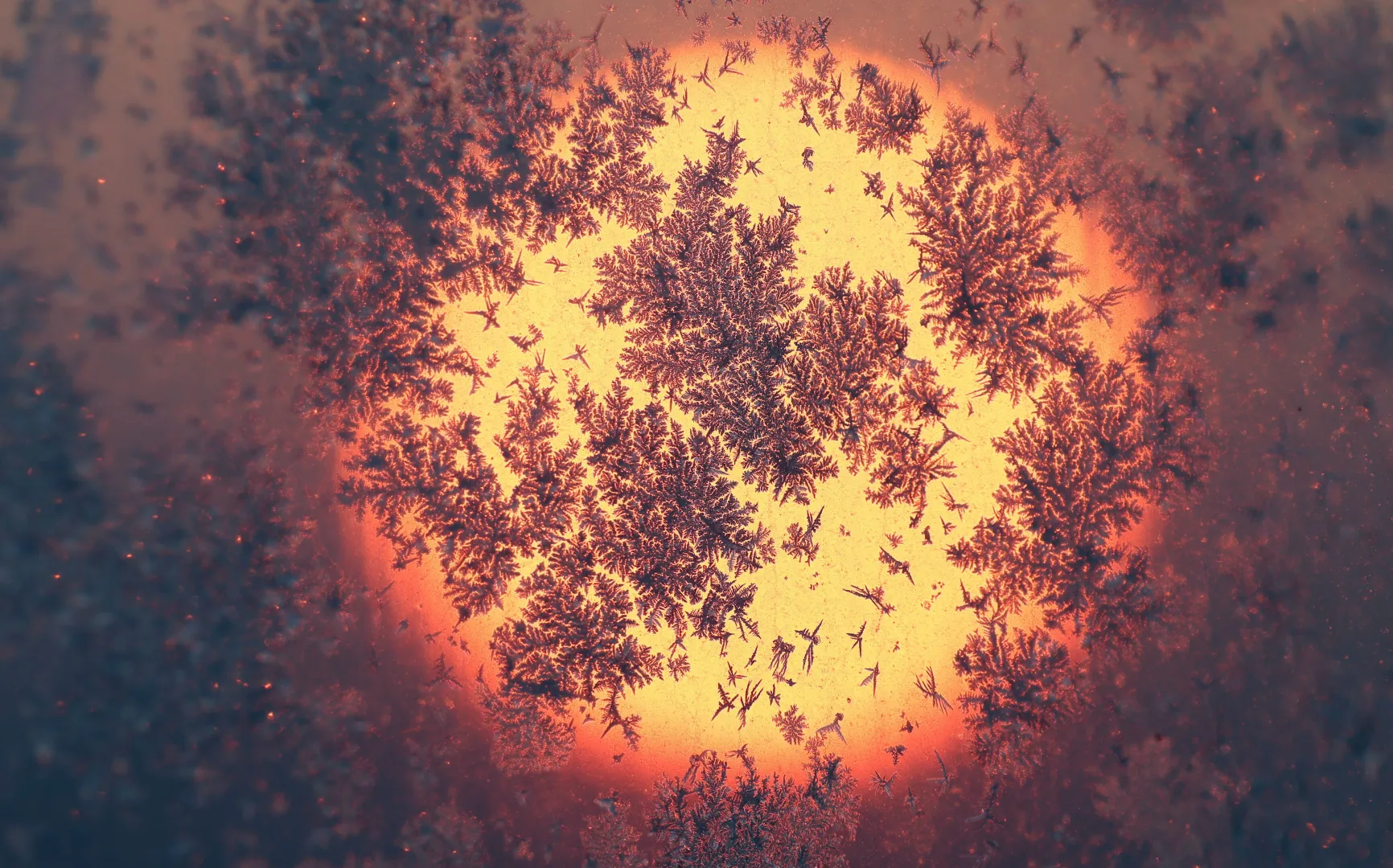 Wschód słońca zza szyby pokrytej szronem Fot. PAP/EPA/MAXIM SHIPENKOV