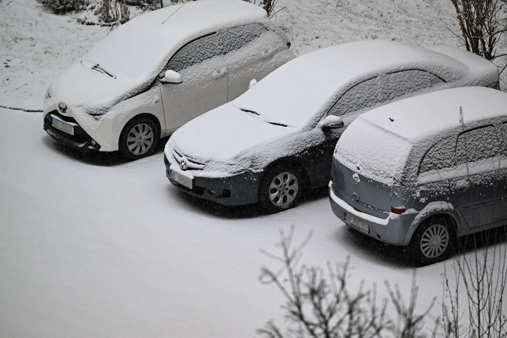 Mróz. Fot. PAP/Darek Delmanowicz