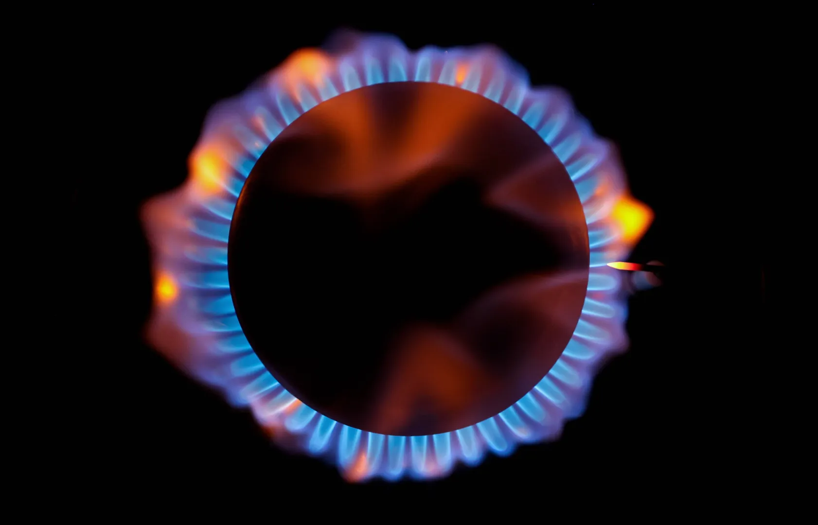 Фотоиллюстрация. Fot. PAP/EPA/FRIEDEMANN VOGEL