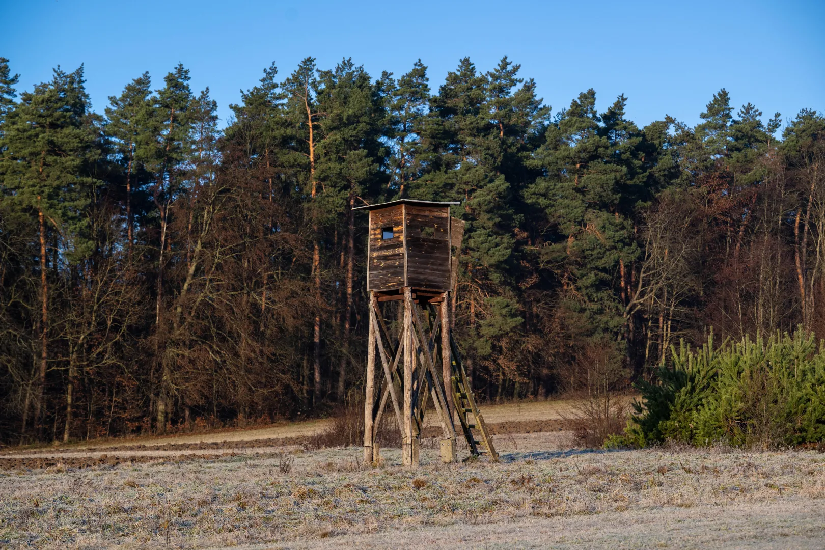 Ambona mysliwska Fot. PAP/Darek Delmanowicz