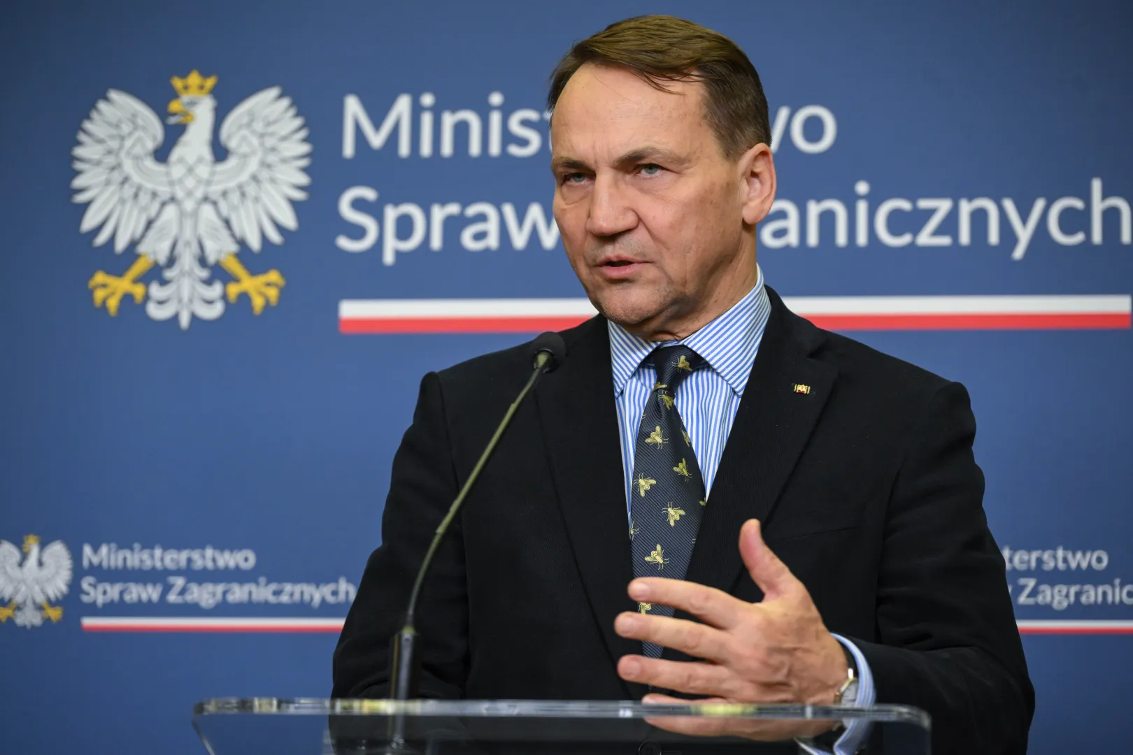 Radosław Sikorski. Fot. PAP/Radek Pietruszka