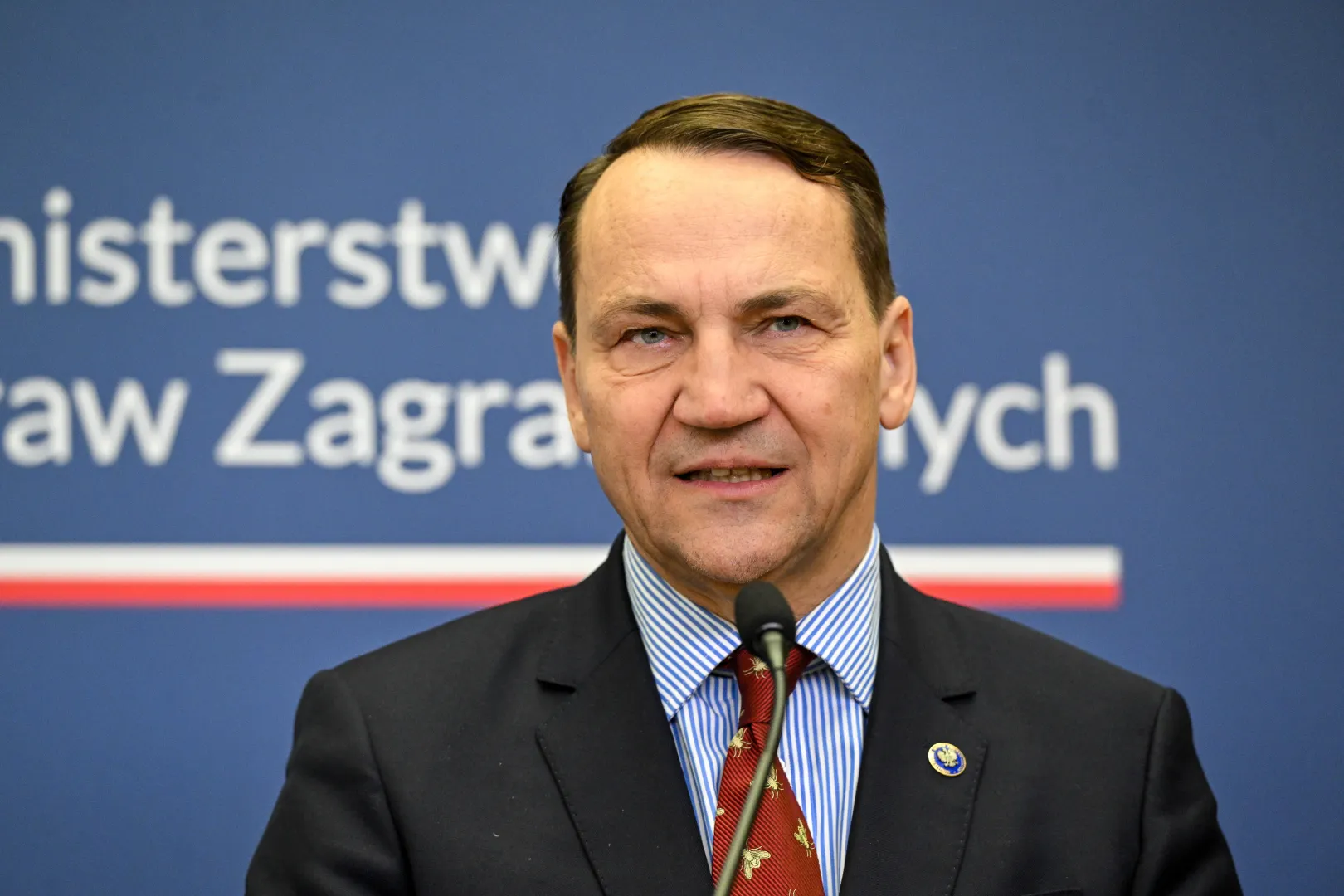 Radosław Sikorski Fot. PAP/Radek Pietruszka